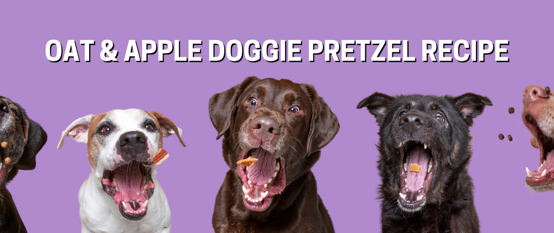 Oat & Apple Doggie Pretzel Recipe