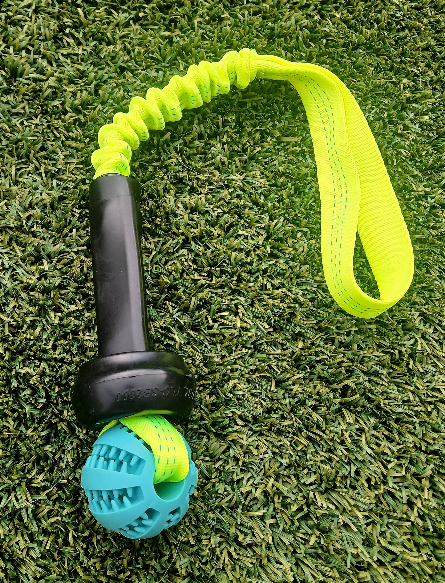 Udder, Ball and Bungee Tug