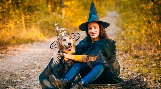 Trick or Treating with Your Dog: Safety First, Treats Second!