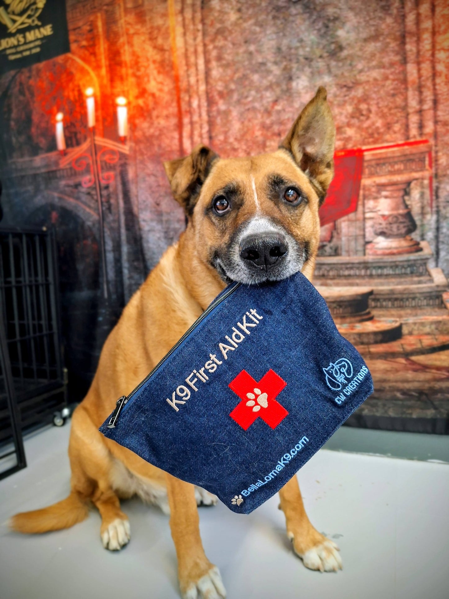 First Aid Kit