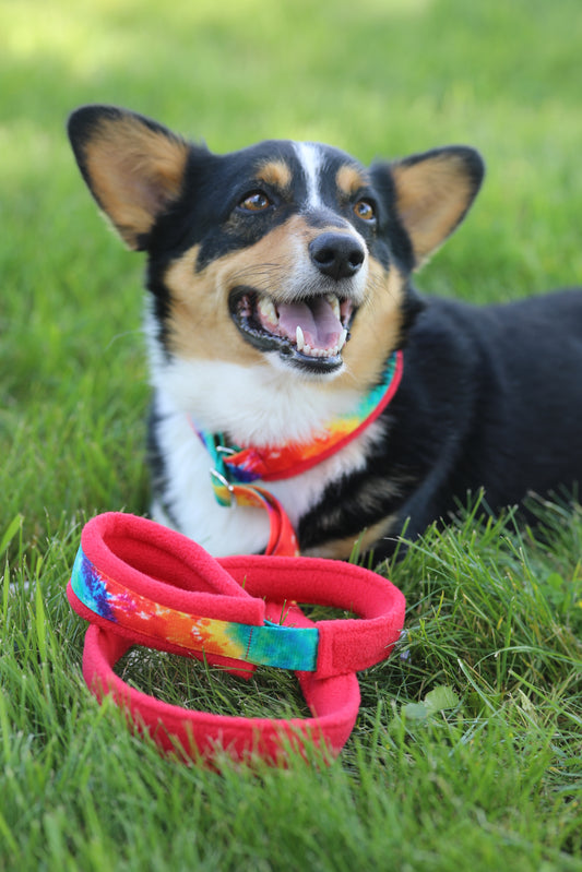 Martingale Leash