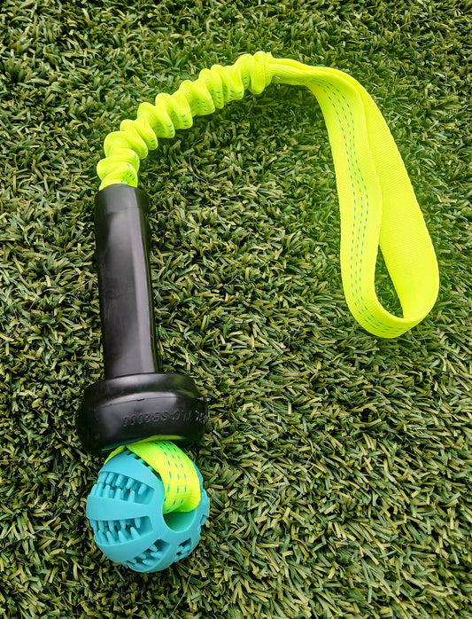 Udder, Ball and Bungee Tug