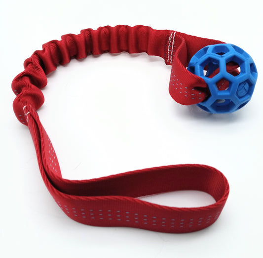 Bungee Tug with Mini Ball